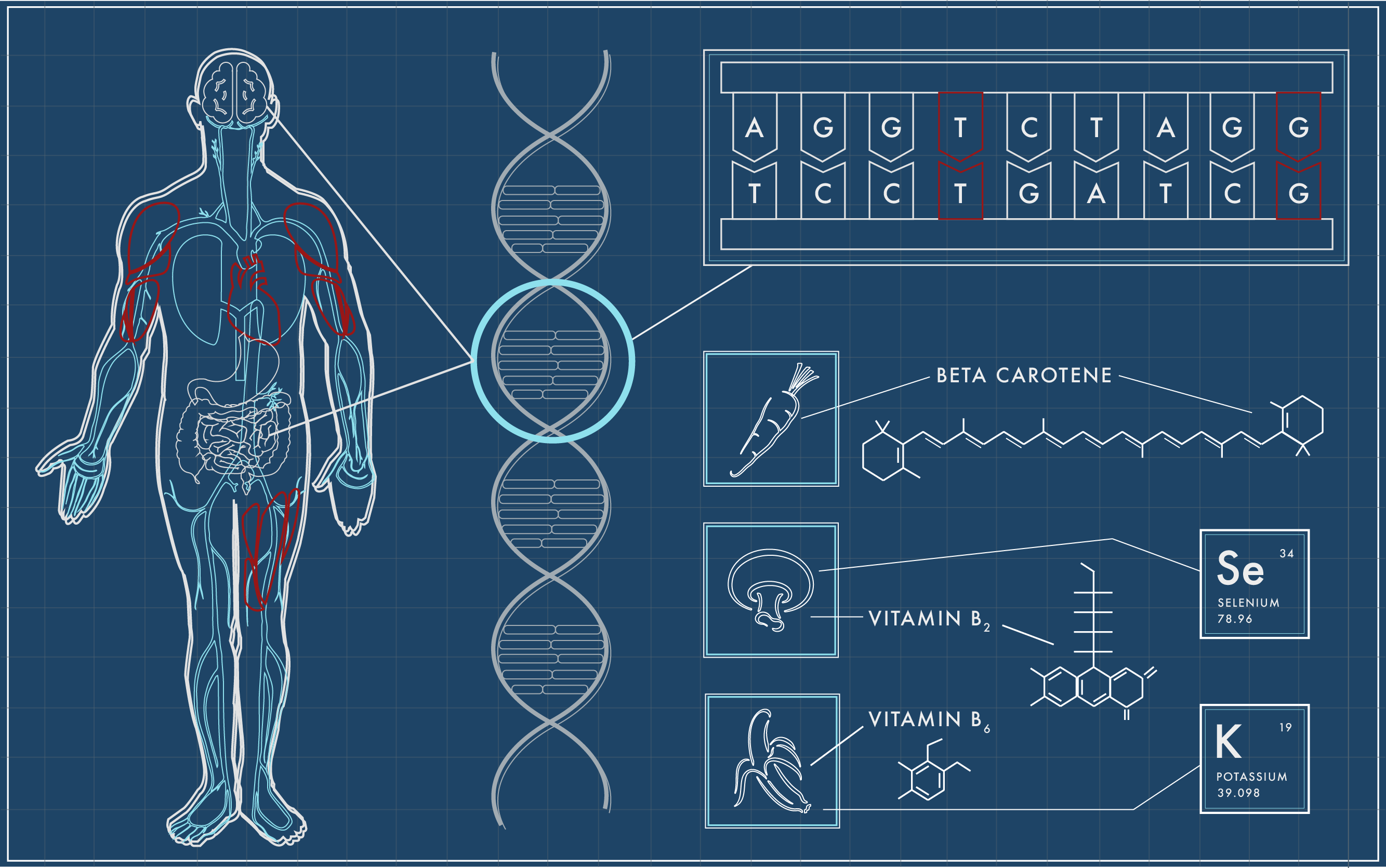 Genetic Testing And The Nutrition Genome Report TheHealthBeat