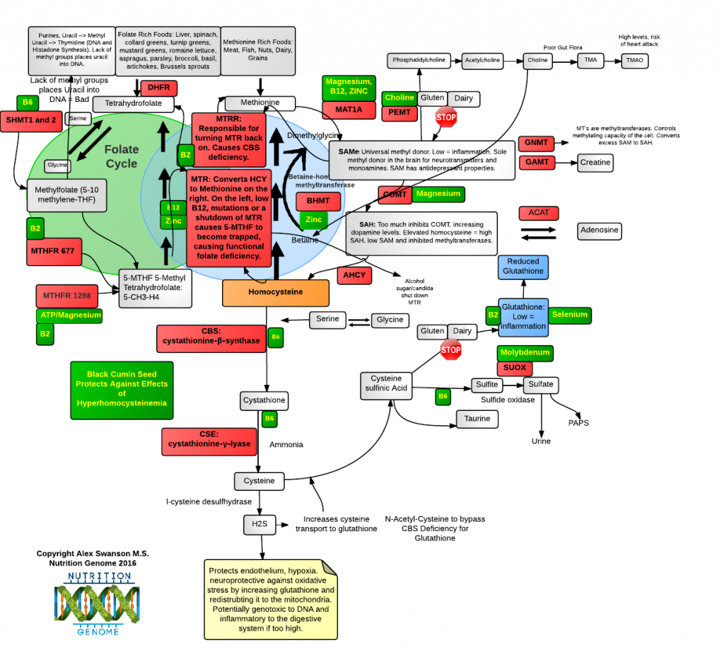 Mine wastes : characterization, treatment