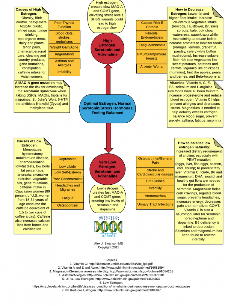 Low and High Estrogen