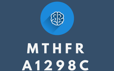 What is MTHFR A1298C? DNA-Based Nutrition