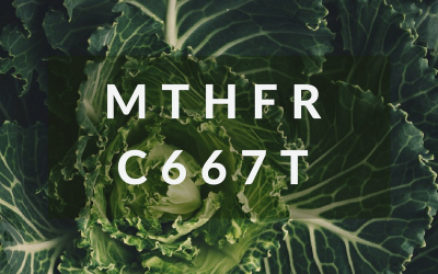What is MTHFR C677T? DNA-Based Nutrition