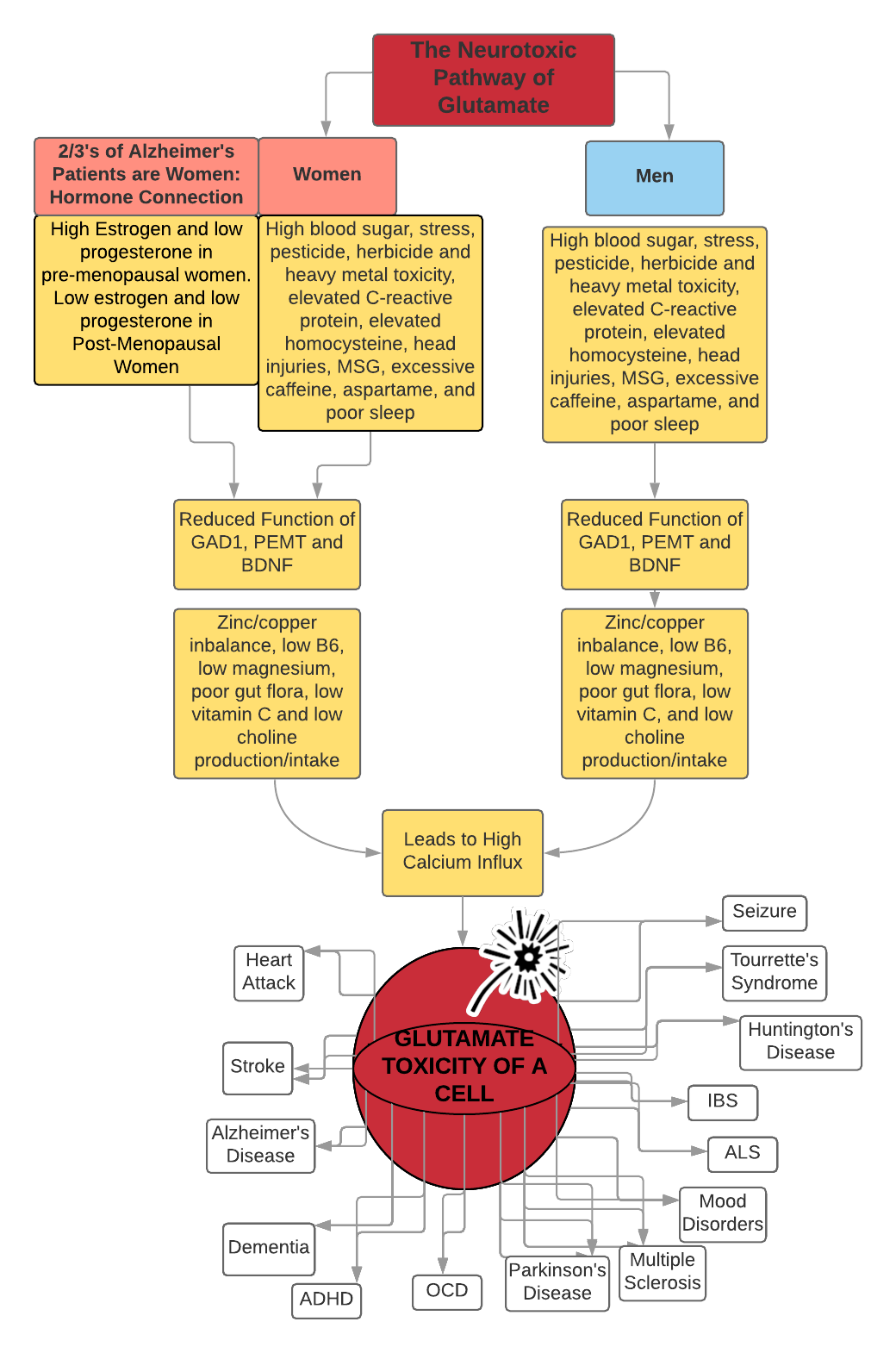 the neurotoxic pathway of glutamate