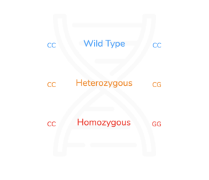 nutrigenomic testing 1 Report Key