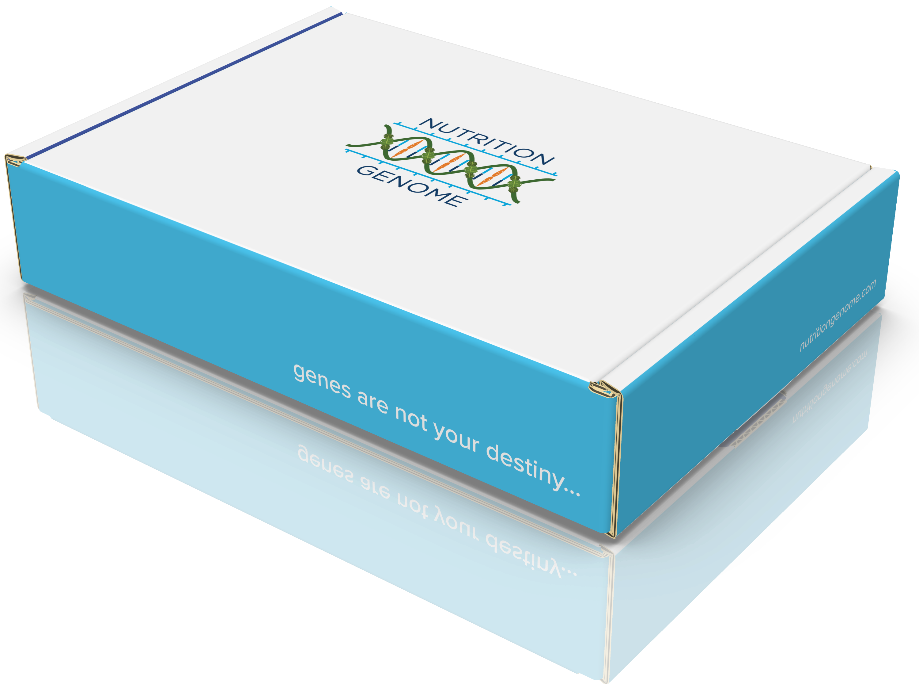 Nutrition Genome DNA Test Kit Health Report