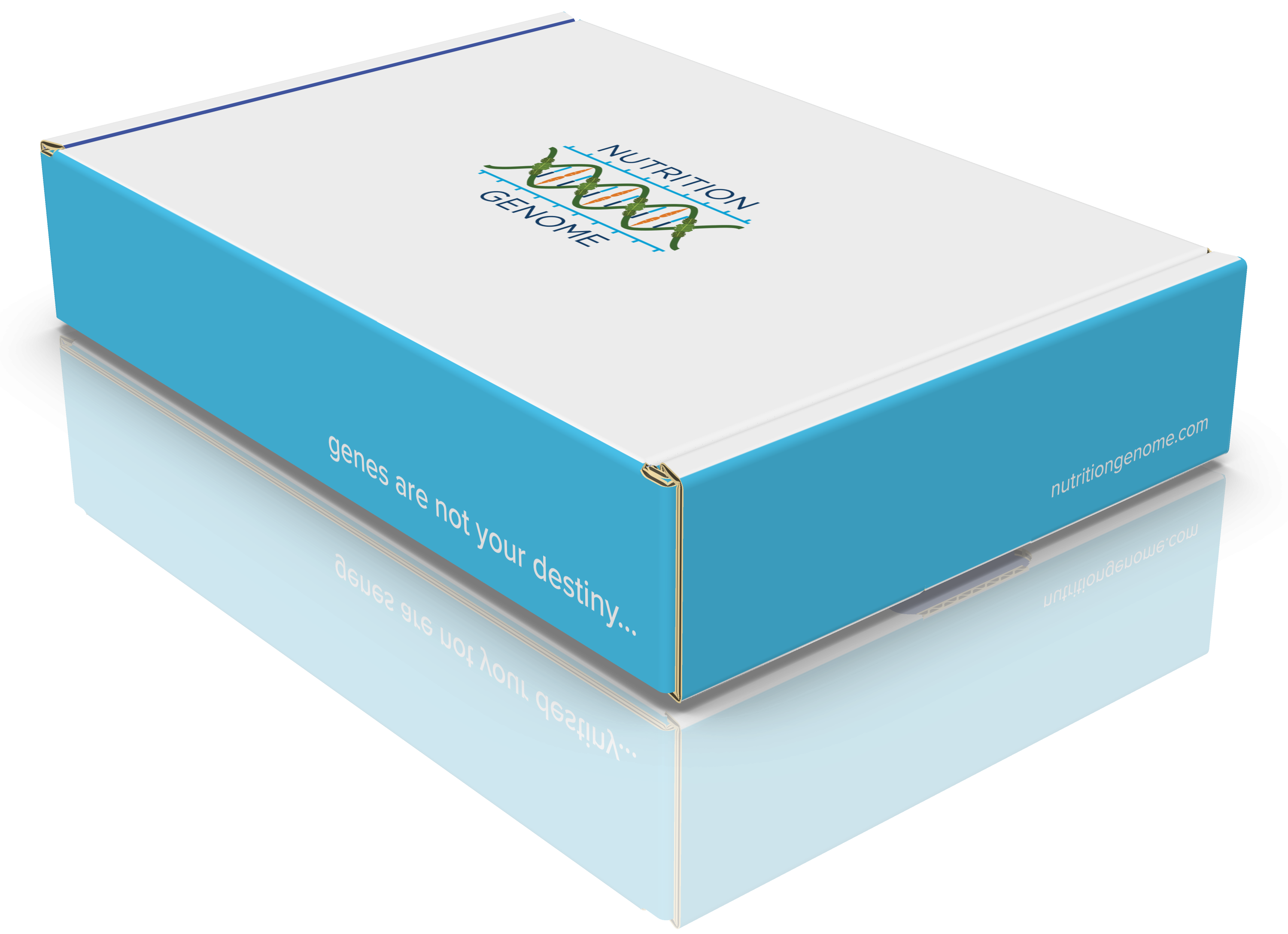 Nutrition Genome | DNA Test Kit & Health Report