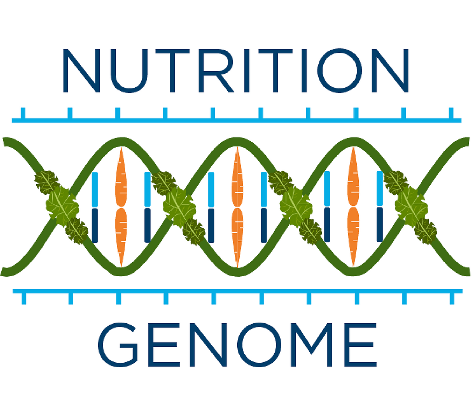 Nutrition Genome | Nutrition is in our Genes