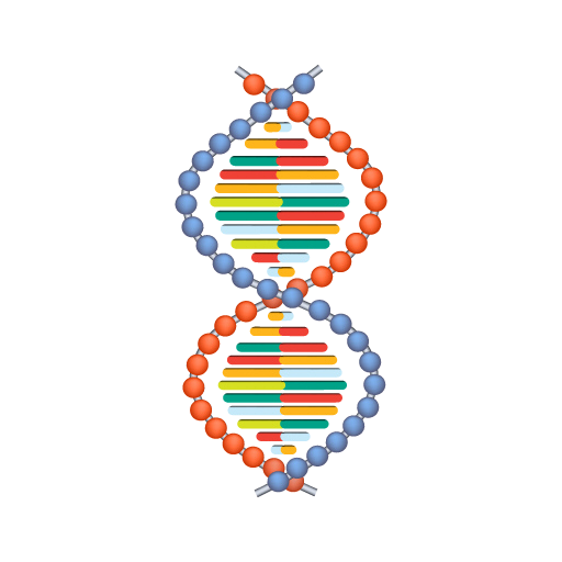 Topic 1: The Methylation Cycle
