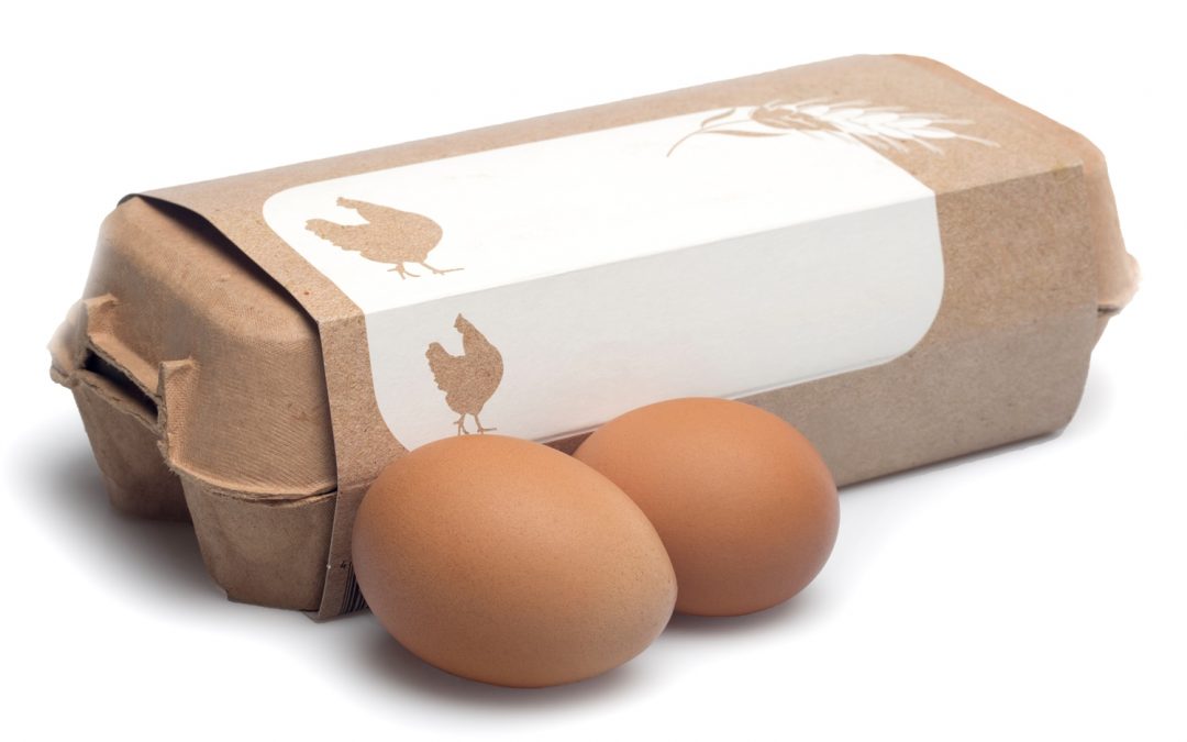 Topic 2: Determining Choline Requirements