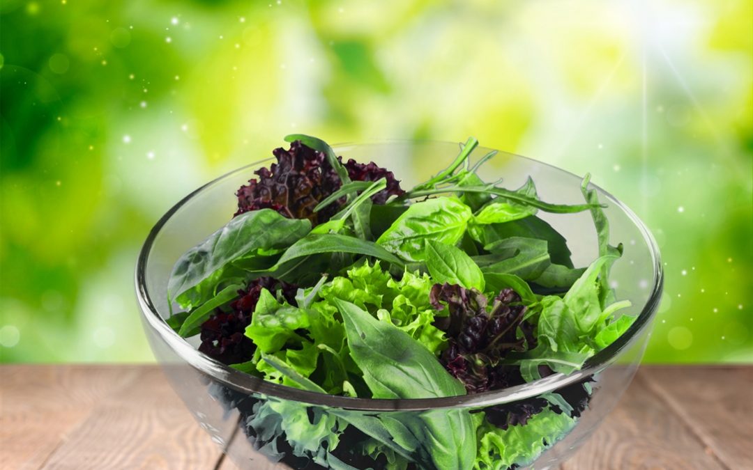 Topic 1: Digestion Section and Folate Levels