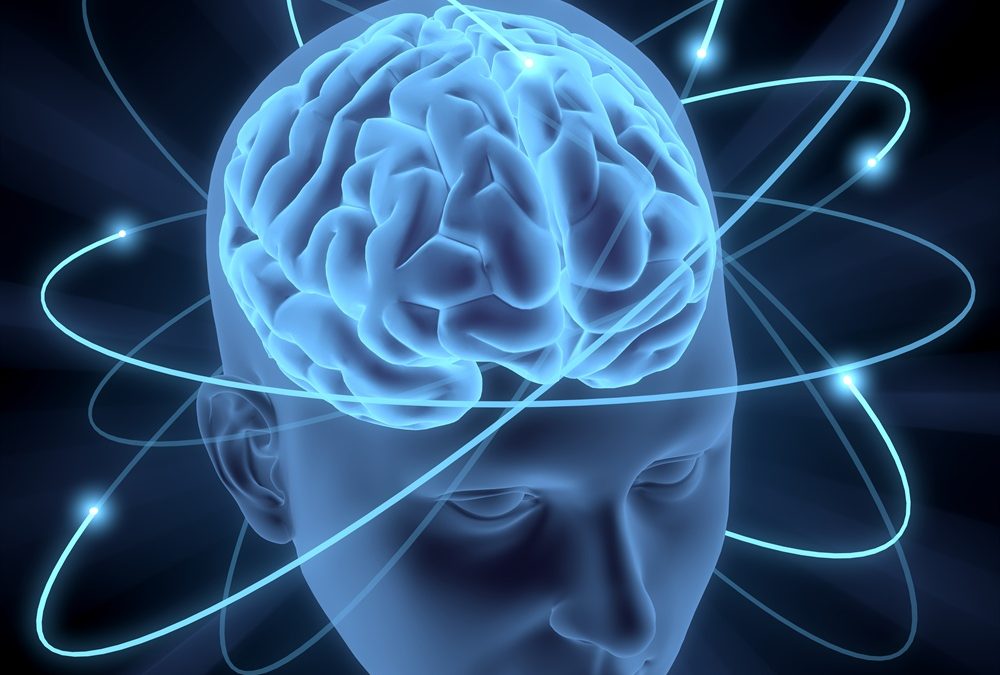 Topic 2: The Connection to Gene Function, Dopamine and Adrenaline Levels