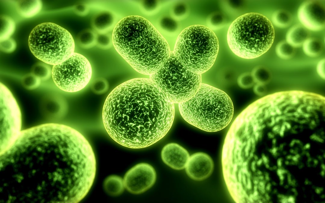 Topic 3: Clinical Connection to the Antioxidant Genes and Chemotherapy