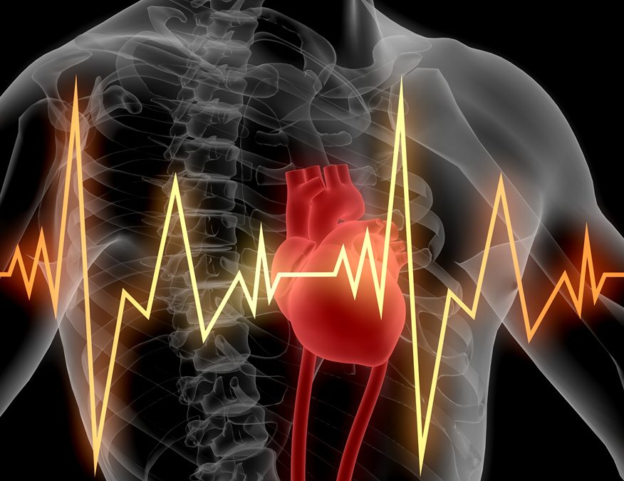 Topic 2: COQ10 and Vitamin K2 Genes