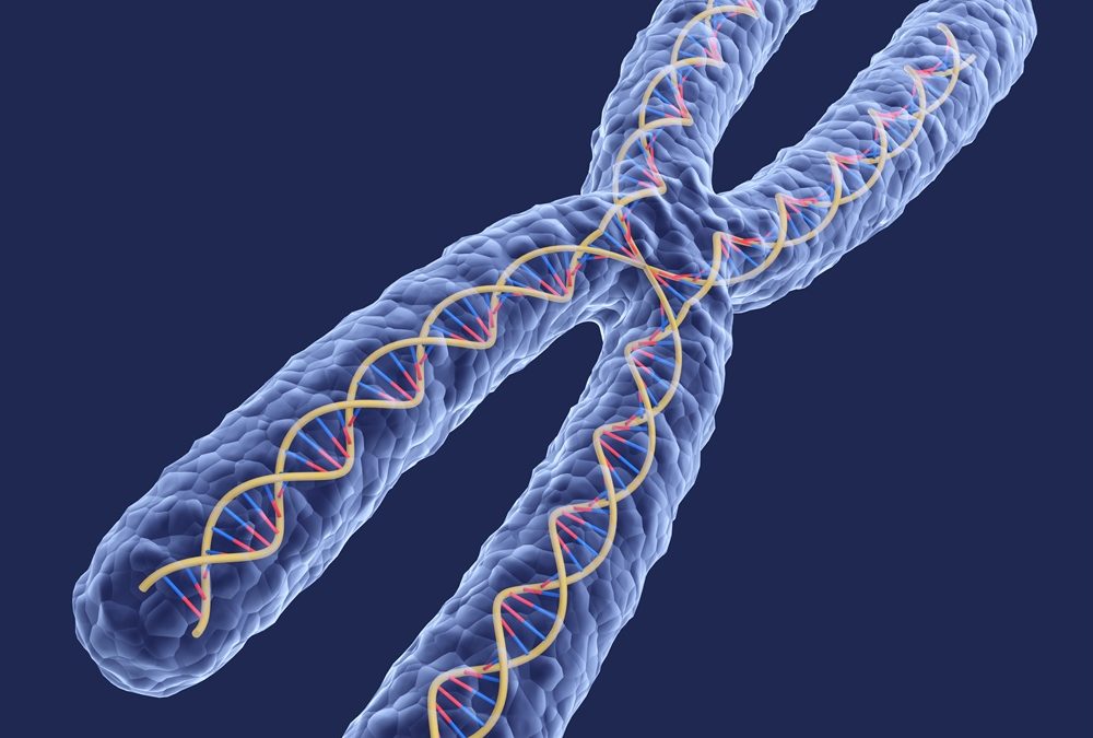 Topic 1: Understanding DNA Protection, Damage and Repair