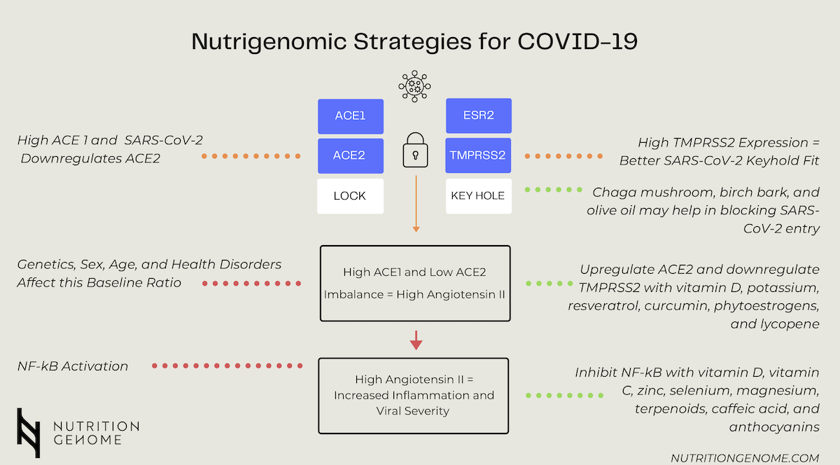 2 Covid v4