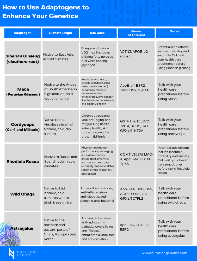 1 Adaptogens Chart 3