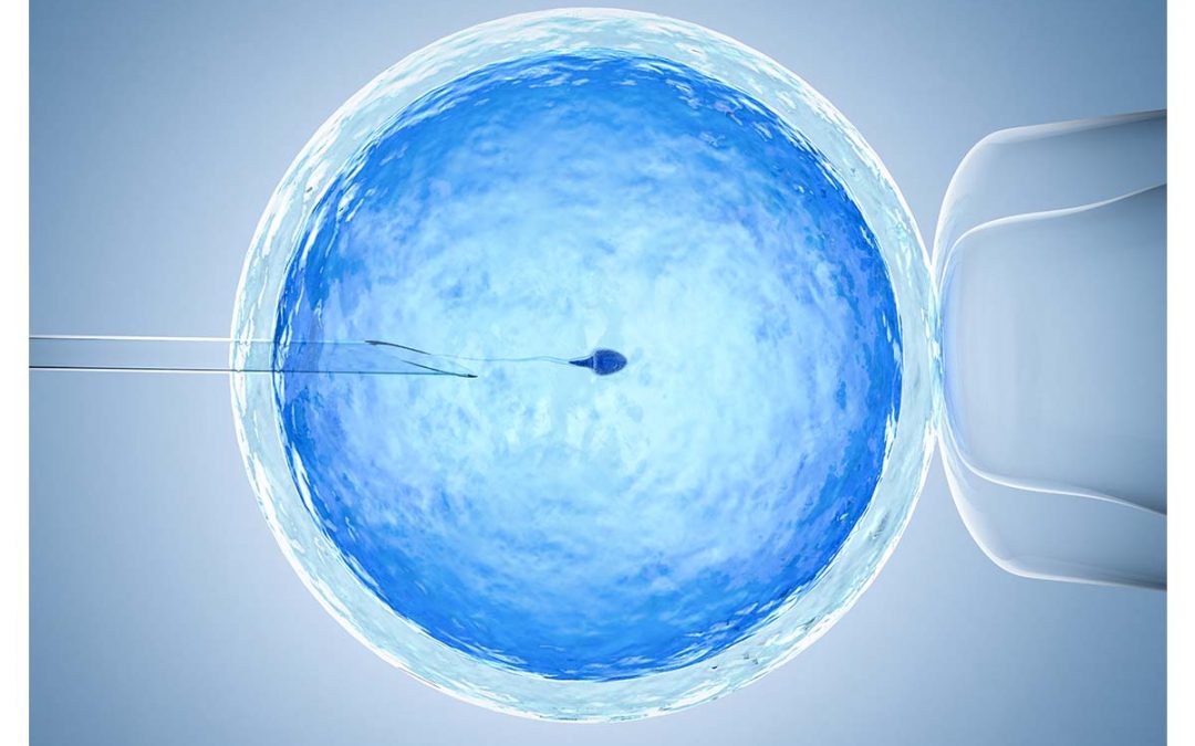 How the HFE and Tp53 Gene Affect Fertility