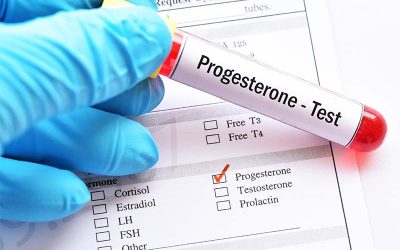 How Does the APOE Gene Affect Fertility?